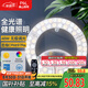 洛林（ROLin）全光譜led燈盤(pán)吸頂燈替換燈芯led燈芯替換燈條磁吸燈盤(pán)帶遙控48W