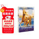 紐伯瑞大獎少年小說(shuō)：辛可提島的迷霧  3-6歲（啟發(fā)出品）