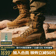 DANNER 丹納 戶外徒步登山Tanicus高幫沙漠靴男透氣防滑鞋靴耐磨戰(zhàn)術(shù)靴 55317-黃色/狼棕-男款 42