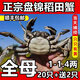 【活蟹】盤(pán)錦河蟹鮮活正宗稻田蟹公母大閘蟹六月黃小螃蟹特大滿(mǎn)黃 【全母蟹】20只+送2只1-1.4兩