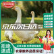 魯爺爺的農場(chǎng)清真大鵝生鮮農家散養大白鵝整只新鮮嫩鵝土鵝老鵝 現殺大鵝 凈重9~10斤