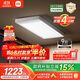 米家智能晾衣機(jī)2 Pro 【國(guó)家補(bǔ)貼】小米電動(dòng)隱形晾衣架3D曲面穹頂燈