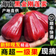 海南黑金剛蓮霧新鮮現摘 中果3斤【15-18個(gè)】順豐陸運 新人嘗鮮