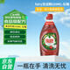 fairy洗潔精-家用餐具清潔去油污果蔬凈320ML-石榴