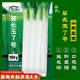 壽禾 大蔥種子苗山東四季蔬菜種籽 長白大蔥翠長玉7號種子15g約4000粒