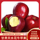 閩農語(yǔ)果花牛新蘋(píng)果新鮮水果粉面國產(chǎn)紅果節日送禮時(shí)令水甘肅天水花牛蘋(píng)果 10斤 單果80mm+(凈重8.5斤) 【可團購/進(jìn)店咨詢(xún)客服哦~】