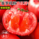 京地達山東普羅旺斯西紅柿 凈重4.5斤單果110g新鮮番茄當季源頭直發(fā)包郵