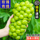 【順豐彩箱裝】陽(yáng)光玫瑰青提子新鮮應季水果晴王香印孕婦整箱包郵 【順豐彩箱】帶箱5斤：凈重4斤單果8g起