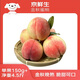 京鮮生  金秋紅蜜桃 凈重4.5斤 單果150g+ 新鮮水果 源頭直發(fā)