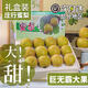 上海特產(chǎn)莊行蜜梨奉賢蜜梨翠冠梨當季水果焦溪蜜梨上海雪梨生梨 A級果9斤裝 單果7-9兩【精美禮盒】 【甄選品質(zhì)丨京鮮配送】