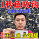 釣幫手釣魚(yú)餌餌料大全野釣通殺一包搞定四季通用鯽魚(yú)鯉魚(yú)路亞打窩魚(yú)餌料 1包裝【釣不盡興】體驗裝120g