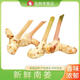 泰國(guó)品種白皮南姜新鮮良姜調(diào)味調(diào)料泰式火鍋底料冬陰功食材香料菜 【體驗(yàn)裝】250g