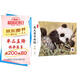 工筆畫原大單頁畫稿動物 中國畫白描入門篇 國畫臨摹畫冊 線描畫冊 臨摹 手繪描摹本繪畫 工筆畫臨摹畫冊 國畫入門 工筆白描底稿臨摹本