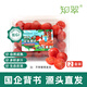 京鮮生＆知翠 櫻桃小番茄450g*2盒 生吃西紅柿 新鮮水果自然熟源頭直發(fā)