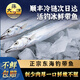 舟山帶魚(yú)整條海鮮野生雷達網(wǎng)新鮮鮮活冷凍小眼帶魚(yú)海釣油帶魚(yú)禮盒 350g-450g/條 (2條禮盒裝)