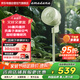amadana艾曼達(dá)空氣循環(huán)扇非靜音電風(fēng)扇家用落地扇立式電扇直流變頻風(fēng)扇渦輪對(duì)流遙控大風(fēng)量換氣扇 C6