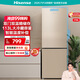 海信（Hisense）170升小型冰箱家用租房雙門二門兩門雙開門電冰箱 冷藏冷凍宿舍小戶型 BCD-170VK1F 金色