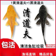 墨一清道夫魚(yú)金苔鼠魚(yú)缸清潔工除藻工具魚(yú)小型熱帶觀(guān)賞魚(yú)吃垃圾魚(yú)魚(yú)苗 清道夫1黑+1黃7-8厘米各1條