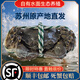 【活蟹】澄湖掌柜大閘蟹 鮮活螃蟹蘇州精品大閘蟹 水產(chǎn)生鮮禮盒 精品全母蟹3.0-3.3兩 5對(duì)10只 蘇州精品大閘蟹