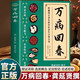 【認準正版】萬(wàn)病回春正版龔廷賢撰收錄300+驗方中醫治未病解讀指南草藥驗方新編大全中醫土湯方草藥湯包藥酒配方大全中醫養生書(shū)籍 【單本】萬(wàn)病回春