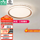 雷士（NVC） LED臥室燈吸頂燈 房間燈餐廳燈現(xiàn)代簡約主臥次臥室燈具燈飾 力薦 【星云】36瓦三色臥室燈