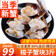 梭子蟹塊 原切蟹塊舟山大螃蟹新鮮冷凍特大海蟹水產(chǎn) 【免處理 新蟹】約48-54塊 凈重3斤