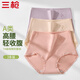 三槍【淡彩系列】?jì)妊澟績(jì)妊澕兠?00全棉a類(lèi)襠7A抑菌簡(jiǎn)約滴膠短褲女