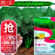 大禹華油999油菜種子油菜籽農科院出油高黃油菜雜交矮桿油原種批發(fā) 華油999油菜籽種子 100g5袋正宗