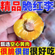 庾豐當(dāng)季現(xiàn)摘四川李子 新鮮水果 孕婦青紅脆紅李 團(tuán)購中秋送禮 5斤裝（凈果4.5斤）優(yōu)選果
