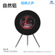 YTFY柏林之聲藝術(shù)大師ArtS懸浮歌詞音箱藍牙黑膠字幕客廳輕奢高級音響 自然鋁