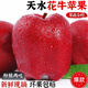 閩域尋鮮花牛蘋(píng)果【多地次日達】正宗甘肅天水刮果泥蘋(píng)果粉面輔食花牛蘋(píng)果 凈重8.5斤 單果60mm+