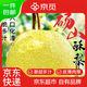京覓安徽碭山酥梨 凈重8.5斤 單果250g+ 生鮮水果 源頭直發(fā)包郵
