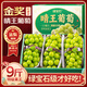 山姆大叔 陽(yáng)光玫瑰晴王葡萄【JD順豐-多地次日達】 青提水果禮盒中秋禮品 【精品向陽(yáng)果】5斤禮盒裝｜玫瑰香味足 【超多人選】特級果｜單果10-12g