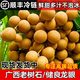 甜果源 新鮮龍眼【順豐包郵】 精選鮮桂圓大果廣西當季熱帶新鮮水果生鮮 凈重4.5斤【順豐 大多數(shù)人選】