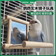 BIRDSTORY鸚鵡專(zhuān)用鏡子站架小鳥(niǎo)玩具解悶自嗨松果虎皮牡丹啃咬籠內裝飾造景 實(shí)木掛籠鏡