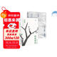 八千里路云和月+樹(shù)猶如此（白先勇作品2冊 華語(yǔ)文學(xué)大家白先勇，追憶老將軍白崇禧的生命脈絡(luò )，感受民國那個(gè)憂(yōu)患重重的時(shí)代） 中南傳媒