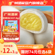 廣州酒家利口福早餐食品兒童 手抓餅包子餃子燒麥蝦餃 半成品生鮮懶人方便速食 奶黃包337.5g（9個裝）
