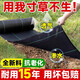 JCZS防草布透水防草地布整卷除草布抗老化農用果園果樹(shù)地膜批發(fā)蓋草布 1.4×200米/卷(加厚90g)