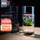肖特圣維莎（SCHOTT ZWIESEL） 德國(guó)原裝進(jìn)口 無鉛水晶玻璃水杯 泡綠茶玻璃杯明前龍井茶杯 安全 370ML單只