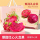 鮮聞果海南紅心火龍果新鮮紅肉大果當季孕婦水果裝樹(shù)上熟金都一號禮盒 【紅心火龍果】-精選3斤裝