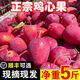 順豐正宗東北雞心果5斤新鮮酸甜當季水果沙果小蘋(píng)果新疆海棠果p 5斤【新鮮現摘現發(fā)】