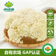 小湯山 散白菜花 300g 基地直供新鮮蔬菜GAP認證