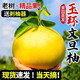 菓靈稥正宗玉環(huán)晚熟文旦柚子當季整箱新鮮水果蜜柚浙江臺州楚門(mén) 5斤 2個(gè)裝【家庭分享】產(chǎn)地直發(fā) 現摘現發(fā)