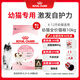 皇家幼貓貓糧 幼貓奶糕 K36 通用糧 4-12月 10KG