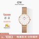 丹尼爾惠靈頓（DanielWellington）DW手表女 簡(jiǎn)約歐美表鋼帶石英女士手表七夕禮物送女友DW00100219
