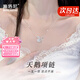 施洛尼輕奢天鵝項(xiàng)鏈女高級感走心實(shí)用紀(jì)念日七夕情人節(jié)生日禮物送女友 天鵝項(xiàng)鏈【當(dāng)/次日達(dá) 】銀色