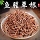 北京同仁堂干魚(yú)腥草根500g特級中藥材無(wú)硫節節根折耳根新鮮干貨泡茶水喝 魚(yú)腥草根500g