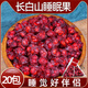 御靈春五味子長(cháng)白山睡眠果中藥材旗艦新鮮小紅果五味子精選原材料 [長(cháng)白山睡眠果*20包]五味子