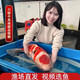 日本進(jìn)口純種錦鯉魚(yú)池高端紅白昭和大正三色錦鯉活體魚(yú)大型觀(guān)賞魚(yú) 40-44CM