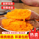 蓮山九鮮六鰲蜜薯正宗沙地黃心地瓜西瓜紅廣東甜薯番薯小香薯仔 凈重5斤中果（3-6兩）